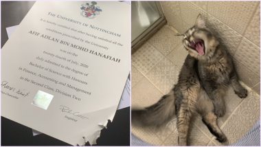Cat Eats Malaysian Student's University Degree! Netizens Share Similar Tales of Their Pets Chewing Their Degrees With Funny Reactions (Check Viral Pic)