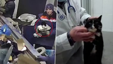 Purr-fect News Exists! Cat Becomes Deputy Environment Minister in Russian Town After Found Dumped in Garbage Plant (Watch Video)