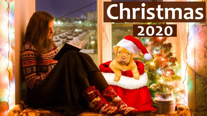 Best Books for Christmas 2020: From Starry Night to the Gift of the Magi, Classics to Read During the Holidays