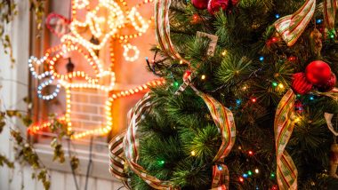 How to Hang Christmas 2020 Lights? Easy Tips and Tricks to Brighten up Your Xmas Tree This Festive Season