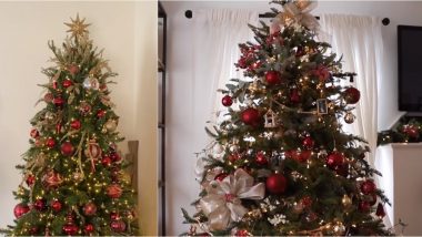 100 Beautiful Christmas Tree Decorating Ideas | How to Decorate a Christmas  Tree | HGTV