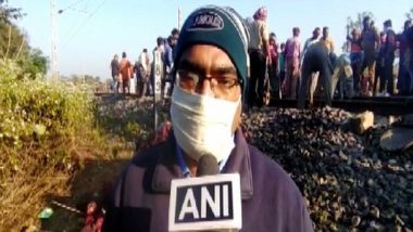 Elephant Dies After Being Hit by Puri-Surat Express Train Between Hatibari and Maneswar Railway Stations