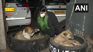 Good Samaritan! Young Vet Student in Delhi Makes Beds Using Tyres For Stray Dogs to Protect Them From Harsh Winter, See Pics