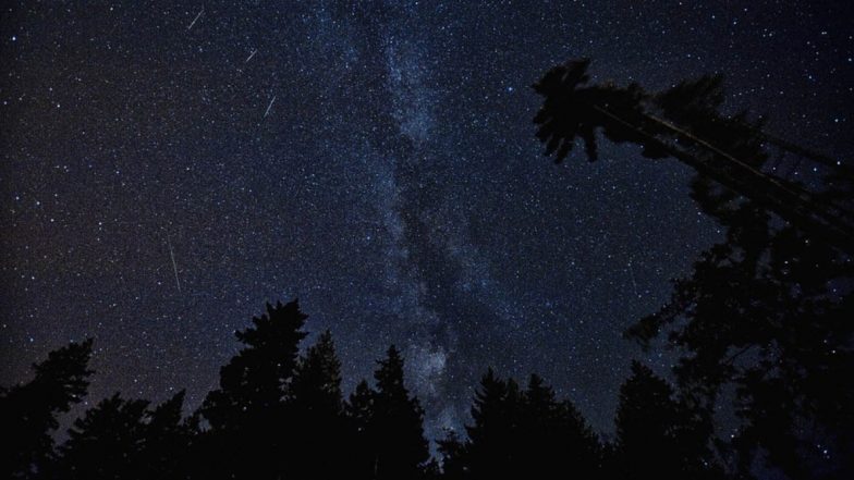 Geminid Meteor Shower 2020 Date and Time in India: Know How to Watch the Shooting Stars That Grace Night Skies in December
