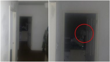 Man Living Alone Captures 'Ghost' in His Home After Hearing Strange Noises, Viral Picture of Paranormal Sighting Will Give You The Creeps!