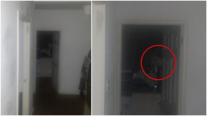 Man Living Alone Captures 'Ghost' in His Home After Hearing Strange ...