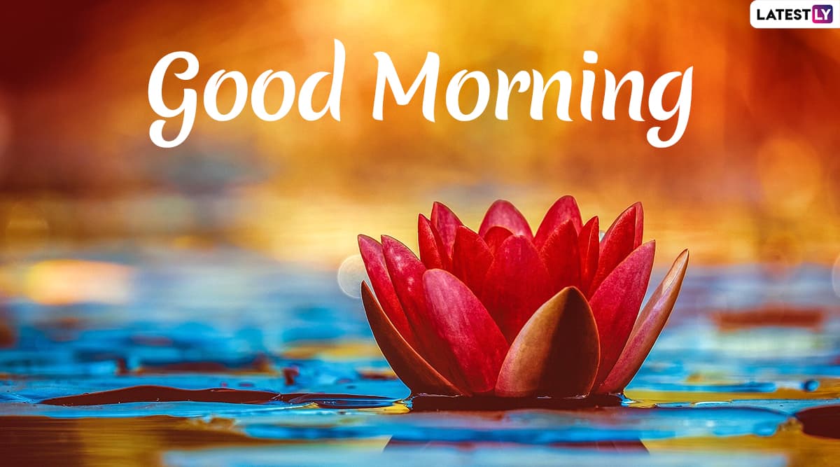 latest good morning wallpaper free download