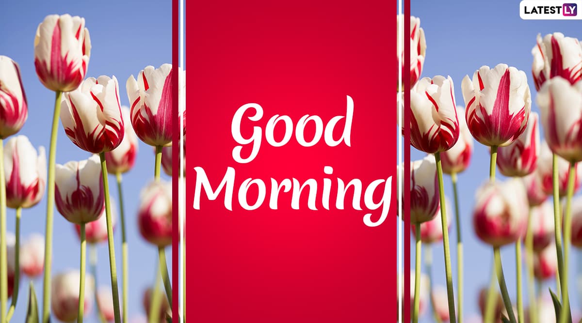 good morning flowers quotes