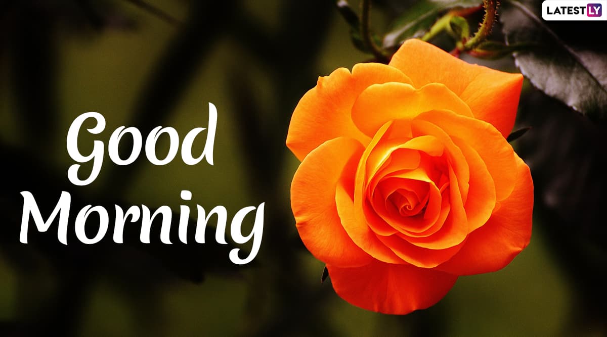 Good best sale morning hd