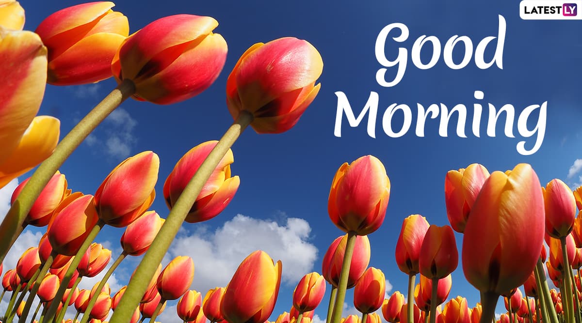 Best Good Morning Wishes, Pictures and Greetings to Share Everyone, by  Abhishek Verma