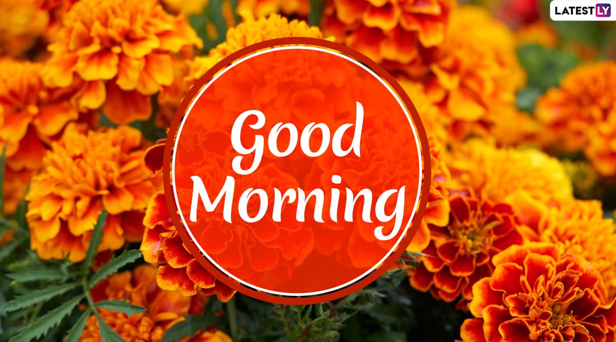 latest good morning wallpaper free download