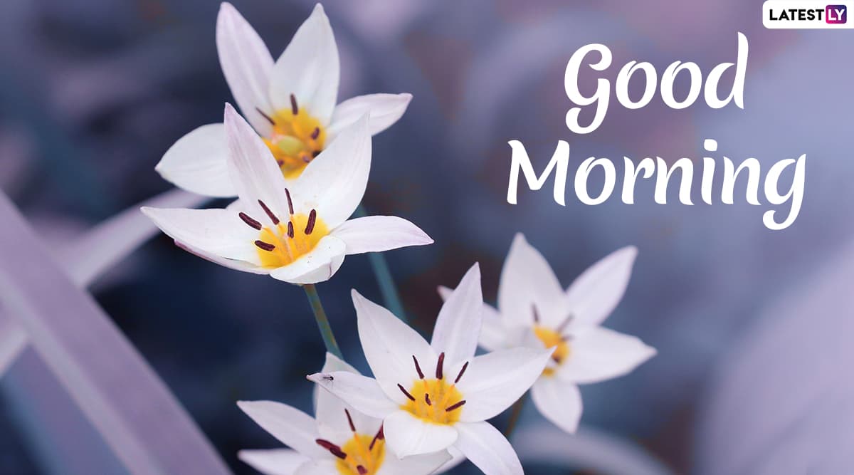 good morning logo wallpaper