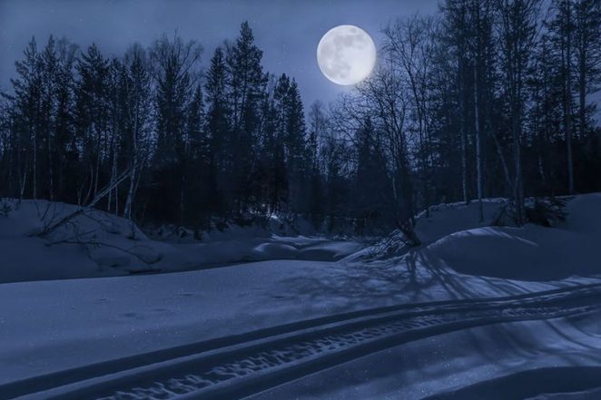 Saw Moon in Your Dreams? Know The Meaning of Seeing the Celestial Body While Sleeping