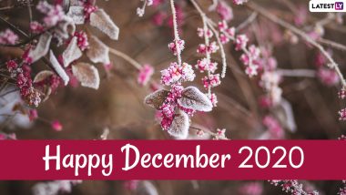 Happy December 2020 Everyone! Twitterati Shares Lovely Images, Quotes and Messages Pinning Hopes on New Month And Praying The Year Ends on a Good Note