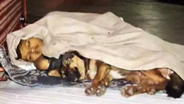 Homeless Boy Sleeping With Dog Under Blanket, Found to Be Abandoned by Mother, UP Police Takes Steps to Find Care For Him After Pic Goes Viral
