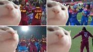 Vibing Cricketers, Vibing Cat! ICC Wins Funny Meme Game That Has Cat Vibing to Bilal Goregen's Ievan Polkka Rendition