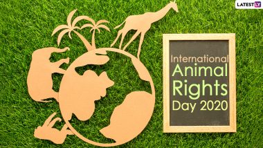 International Animal Rights Day 2020 Date And Significance: Know the History And Events Related to Observance That Highlights Animals' Rights