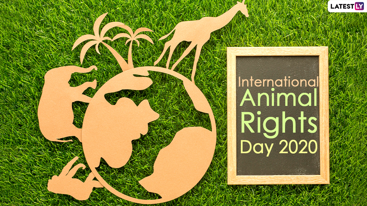 International Animal Rights Day 2020 Date And Significance: Know the  History And Events Related to Observance That Highlights Animals' Rights |  🙏🏻 LatestLY