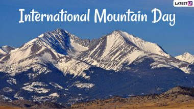 International Mountain Day 2020 Date and Theme: Know History and Significance of the Day Promoting Mountain Conservation