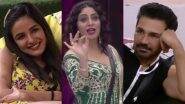 Bigg Boss 14 December 07 Episode: Jasmin Bhasin Says She LOVES Aly Goni; Arshi Khan Wants to Be Abhinav Shukla’s ‘Baharwali’ – 5 Highlights of BB 14