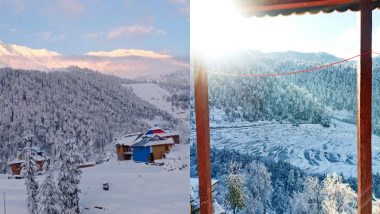 Kashmir Plains Receive Snowfall Turning the Region Into a White Mystical Valley, Breathtaking Pictures of Nature’s Beauty Go Viral