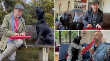 Christmas Carols Sung by Man and His Dog Will Put You in a Awwdorable Mood This Xmas 2020! Watch Viral Videos of Nick and Embers Advent Calendar