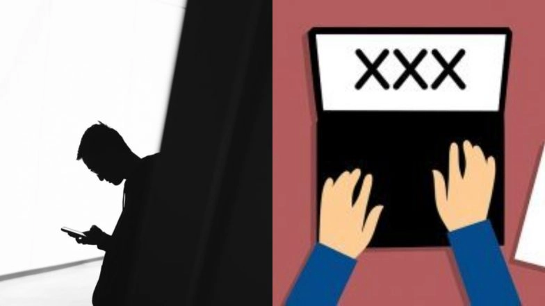 US Man Wins Lawsuit Against Parents for Getting Rid of His $25,000 Porn Collection Including Sex Toys, Demands Triple the Amount in Compensation