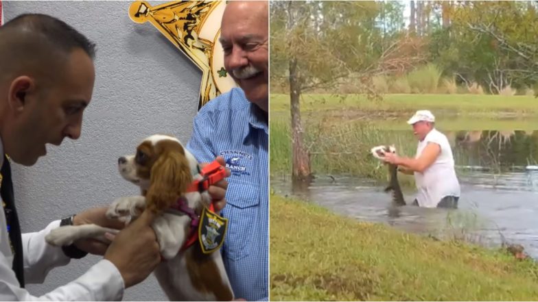 Puppy Rescued From Jaws of Alligator Honoured As ‘Deputy Dog’ by Florida Sheriff (See Pictures and Videos)