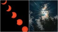 Total Solar Eclipse of 14th December 2020 Photos: See Stunning Pictures From Celestial Event of Last Surya Grahan of This Year
