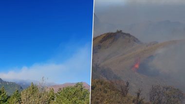 Dzuko Valley Wildfire: Massive Fire Engulfs Valley of Flowers; Manipur CM N Biren Singh Calls it 'Unfortunate', Seeks Help