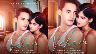 Veham: Asim Riaz and Sakshi Malik Are Totally Soaked in Love in the First Poster of Their Music Video!