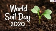 World Soil Day 2020 Date And Theme: Know The History And Significance of The Observance That Highlights the Importance of Healthy Soil