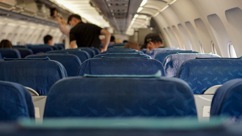 Delta Passenger Jumps From Plane With Dog! Flyer Opened Cabin Door of Moving Plane at LaGuardia Airport in New York