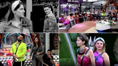 Bigg Boss 14: Aly Goni and Nikki Tamboli Get The Whole House Nominated, Arshi Khan Says 'Phaad Ke Rakh Dungi Mai' After Nikki Calls Her 'Pagal' (Watch Video)