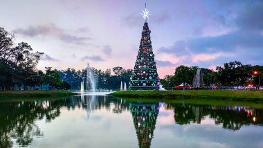 Christmas Tree Dream Explained: Know the Meaning And Interpretation of Seeing the Festival Related Dream