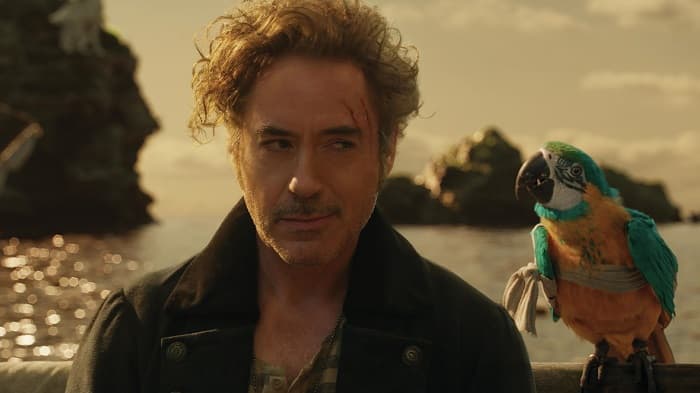 Razzie Awards 2021: Robert Downey Jr, Adam Sandler, Anne Hathway, Bruce Willis Get Nominated; Check Out The Complete List