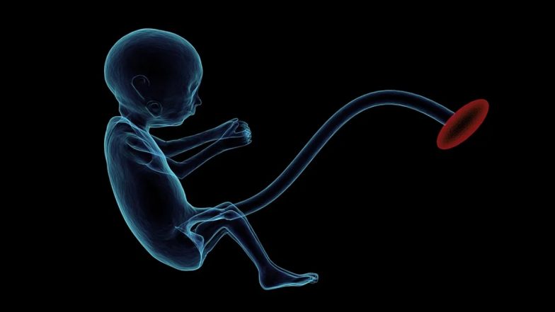 'Cyborg Baby' to be Born! Scientists Find Microplastics in Human Placenta For First Time, Know What it Means