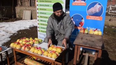 Jammu and Kashmir: Young Entrepreneur Adnan Ali Khan From Shopian Helps Farmers to Sell Kashmiri Apples Online, Introduces New Packaging