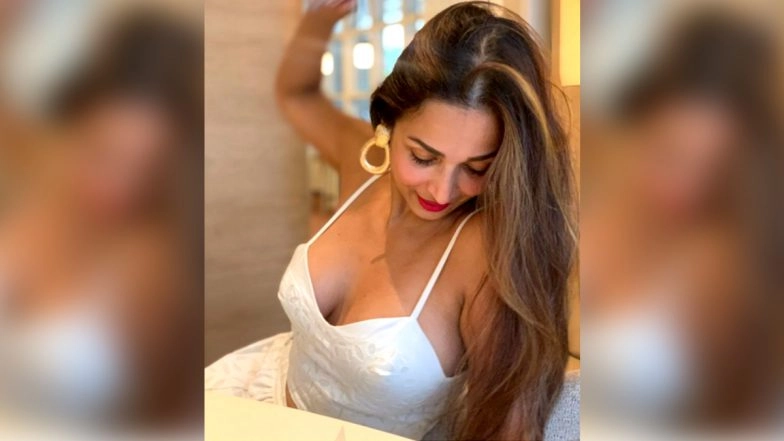 Malaika Arora Shares a Glimpse of Her Daily Hustle; Actress Gives Great Fitness Advice (View Post)