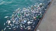 Plastic Waste Management Amendment Rules 2021: PM Narendra Modi to Phase Out Single Use Plastic by 2022 to Protect Terrestrial and Aquatic Ecosystems