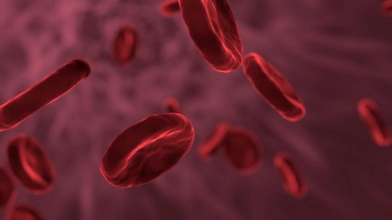 Shigella Case Again Emerges in North Kerala, Another Child Found Infected With the Bacteria