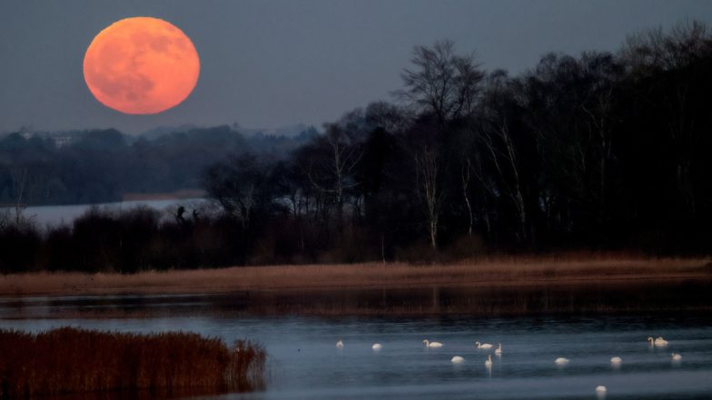 Cold Moon 2020: Stunning Pics of The Final Full Moon of the Decade Mark End of the Year Blissfully