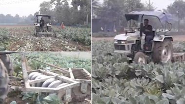 'Cauliflower at Rs 1 Per Kg': Anguished Farmer in Bihar's Samastipur Runs Tractor Over His Entire Unharvested Field (Watch Video)