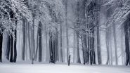 Winter Solstice 2020 in Northern Hemisphere: What Happens on Winter Solstice? When Is the First Day of Winter? How to Celebrate the Shortest Day of the Year? All FAQs Answered