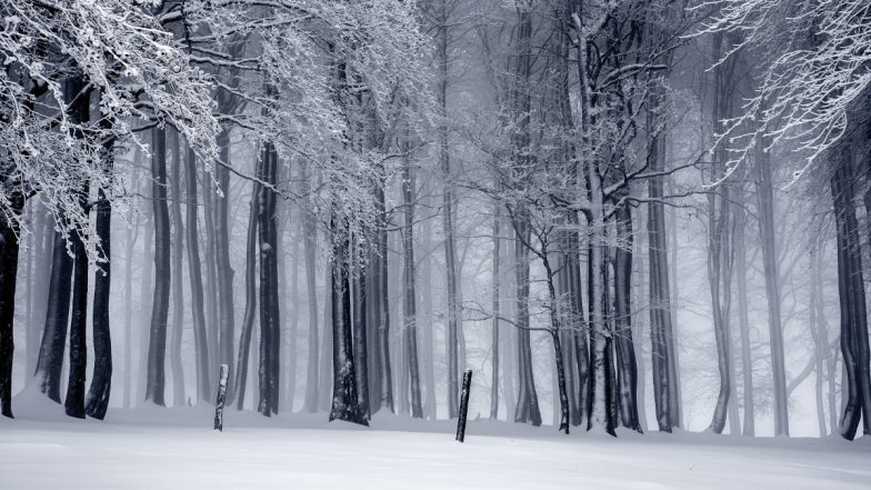 Winter Solstice 2020 in Northern Hemisphere: What Happens on Winter Solstice? When Is the First Day of Winter? How to Celebrate the Shortest Day of the Year? All FAQs Answered