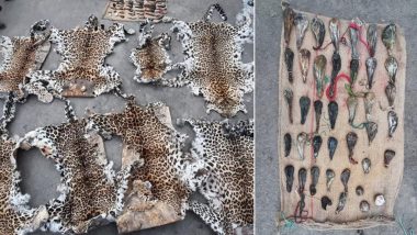 Animal Cruelty: Skin, Body Parts of Leopard, Bear, Other Wild Animals Seized in Kashmir's Anantnag, One Arrested