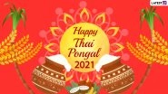 Happy Pongal 2021 Quotes & HD Images: Send WhatsApp Stickers, Thai Pongal Greetings, GIFs, Telegram Messages & Pics to Wish 'Iniya Pongal Valthukkal' for Tamil Nadu's Harvest Festival