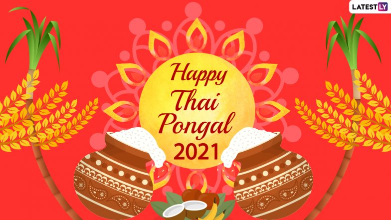Happy Pongal 2021 Quotes & HD Images: Send WhatsApp Stickers, Thai Pongal Greetings, GIFs, Telegram Messages & Pics to Wish 'Iniya Pongal Valthukkal' for Tamil Nadu's Harvest Festival