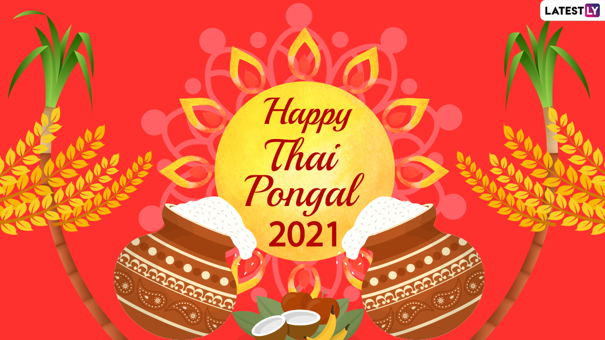 Festivals & Events News | Pongal 2021 Quotes & HD Images: Send ...