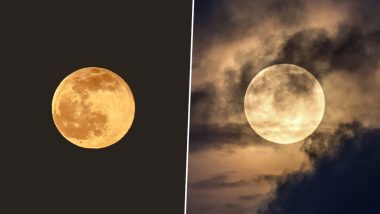 Wolf Moon 2021 in Pics and Videos: People Take to Twitter to Share Enthralling Photos of the First Full Moon of the Year As It Shines Bright in the Sky
